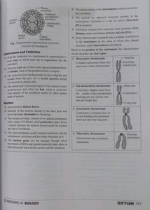 Xylem Study Materials For NEET
