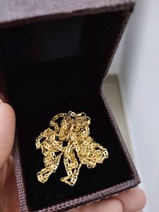 Long Gold Plated Chain