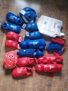 Karate/MMA Sparring Gear Set