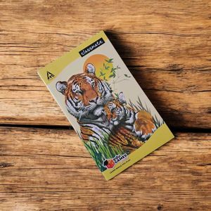 Classmate Unruled Notebook Pack of 3