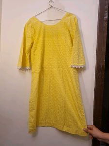 Hakoba Chicken Short Kurti