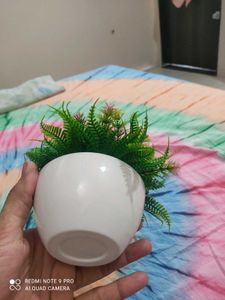 2 Flower Pots