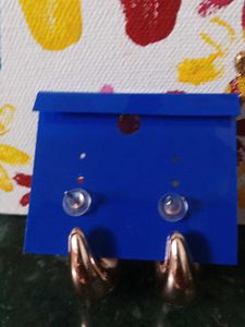 Elegant Teardrop Earrings