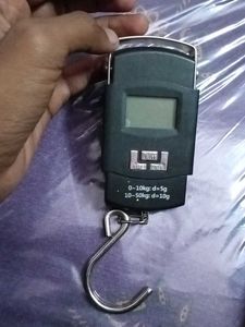 Digital Hanging Scale