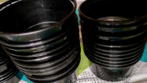 Empty Food Containers
