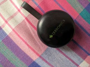 ZEBRONICS EARBUDS