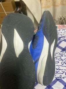 Lining Shoe