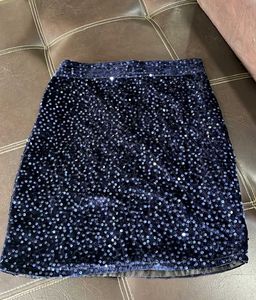 Sequin Skirt