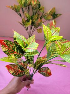 Green Red Shaded Leaf Set