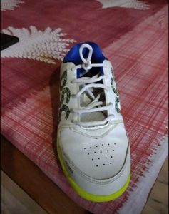 ⭐ DSC Cricket Shoes – Excellent Condition ⭐