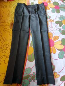 Gray Formal Pants