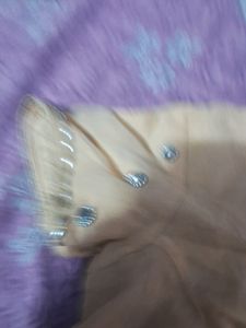 Beautiful Heavy Work Saari With Blouse