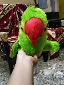 Parrot 🦜toy Sound Bhi Aata Hy