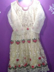 Elegant Embroidered Dress