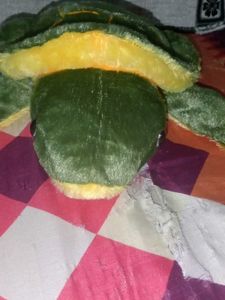 A23 No1 Best Green Turtle For Gift 🎁