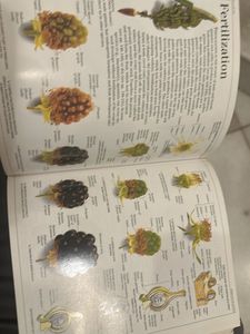DK Ultimate Visual Dictionary