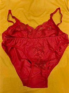 Lace Net Sexy Lingerie Set New With Tag
