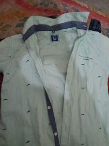 Stylish Light Green Shirt