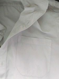 Classic White Button-Down Shirt