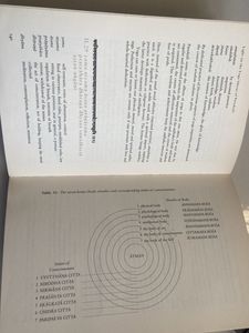 Light on the Yoga Sutras of Patanjali by B.K.S. Iy