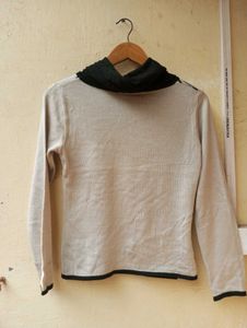 Animal Print Turtleneck Sweater (Women)