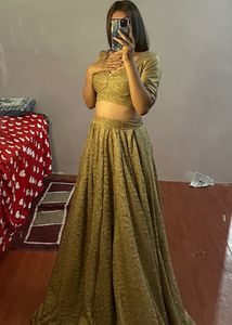 Sabyasachi Blouse And Choli For Today Only