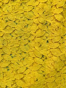 Yellow Net Collared Top