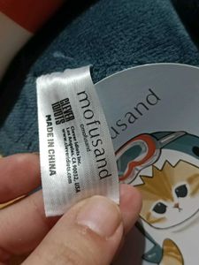Mofusand SHARK kitten