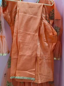 Net Embroidered Gown.