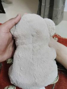 Cute Teddy Bear