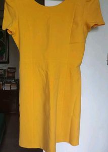 Chic Yellow Zara Dress