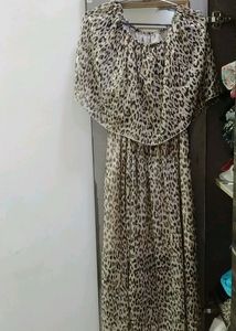 Beautiful Tiger Print Dress