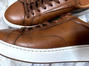 Aldo Low top sneakers (Genuine Leather)