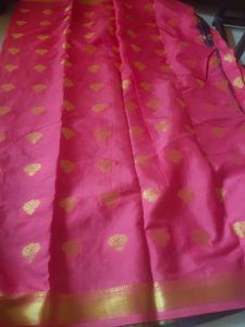 Festive Wear Saree