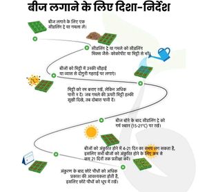 Bottle Gourd Long Dark Green लंबी लौकी के बीज