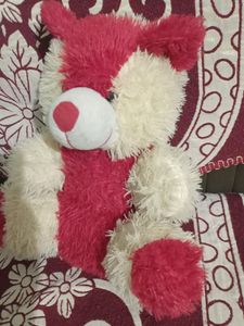 Cute Teddy