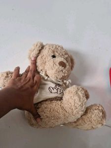 Cute Hoodie Teddy