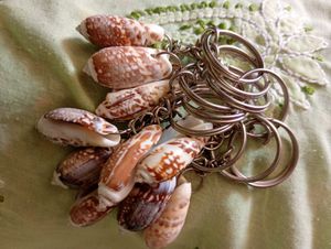 Seashell Keychain 10 Pieces