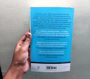 Mindwandering - Non-Fiction Book