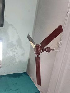 Ceiling Fan - Home Essential