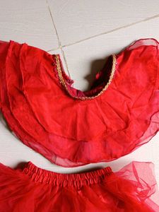 Beautiful Net Top With Skirt