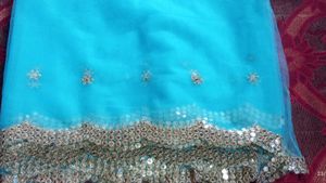 Net Sarees &amp; Blaus