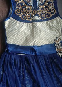 Elegant Blue Women&#39;s Ethnic Dress