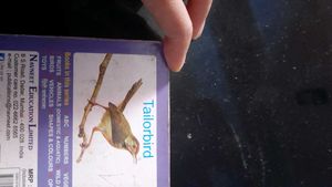 Tailorbird Book for Kids