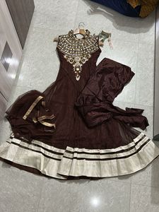 Elegant Ethnic Gown