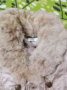 Winter Jacket