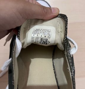 Converse Sneakers