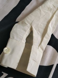 Professional Shirt
