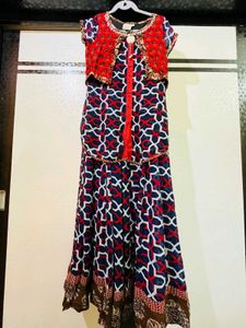 Stylish Printed Dress New Wdt Tag