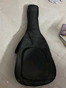 Acoustic Guitar